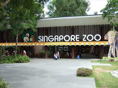 Fun-filled days at Singapore Zoo